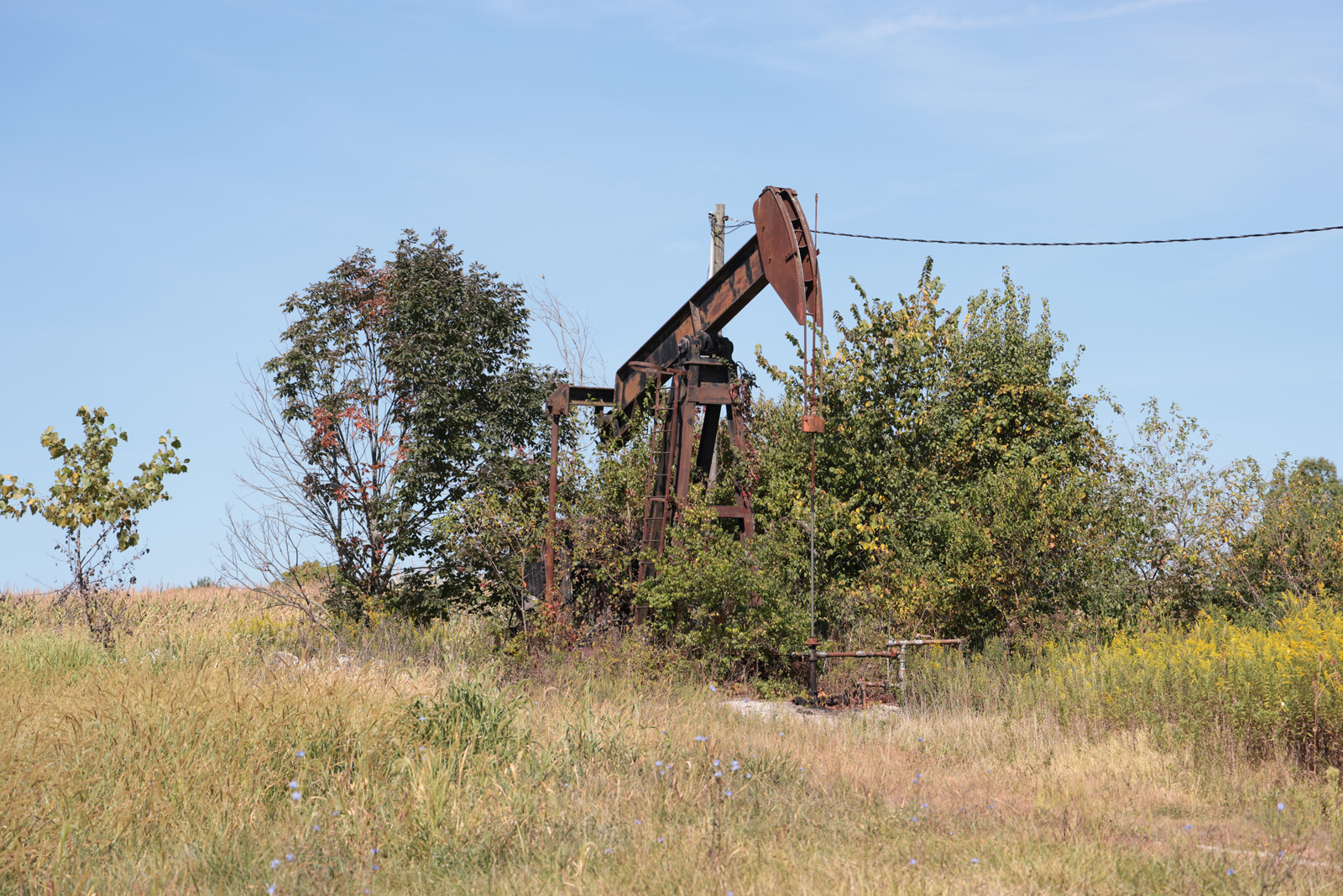 Monthly Meeting Minutes May 10, 2025