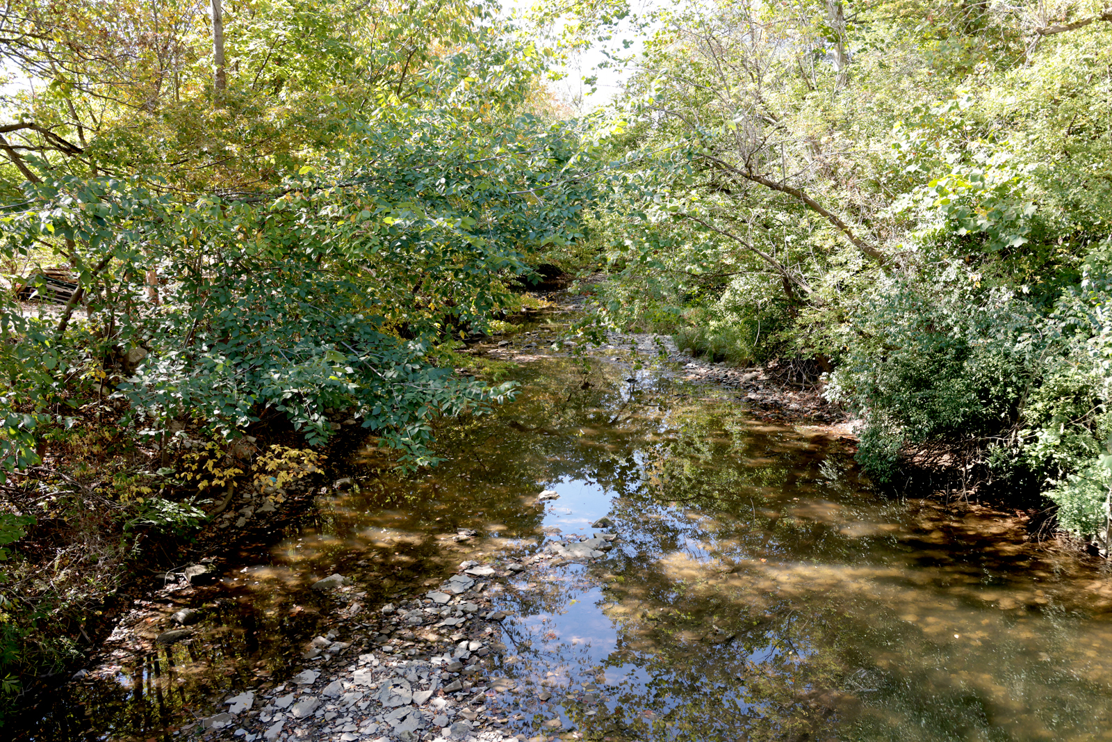 Zoning Meeting Minutes November 06, 2025