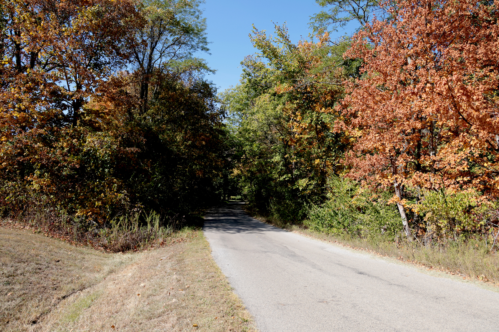 Monthly Meeting Minutes November 14, 2024