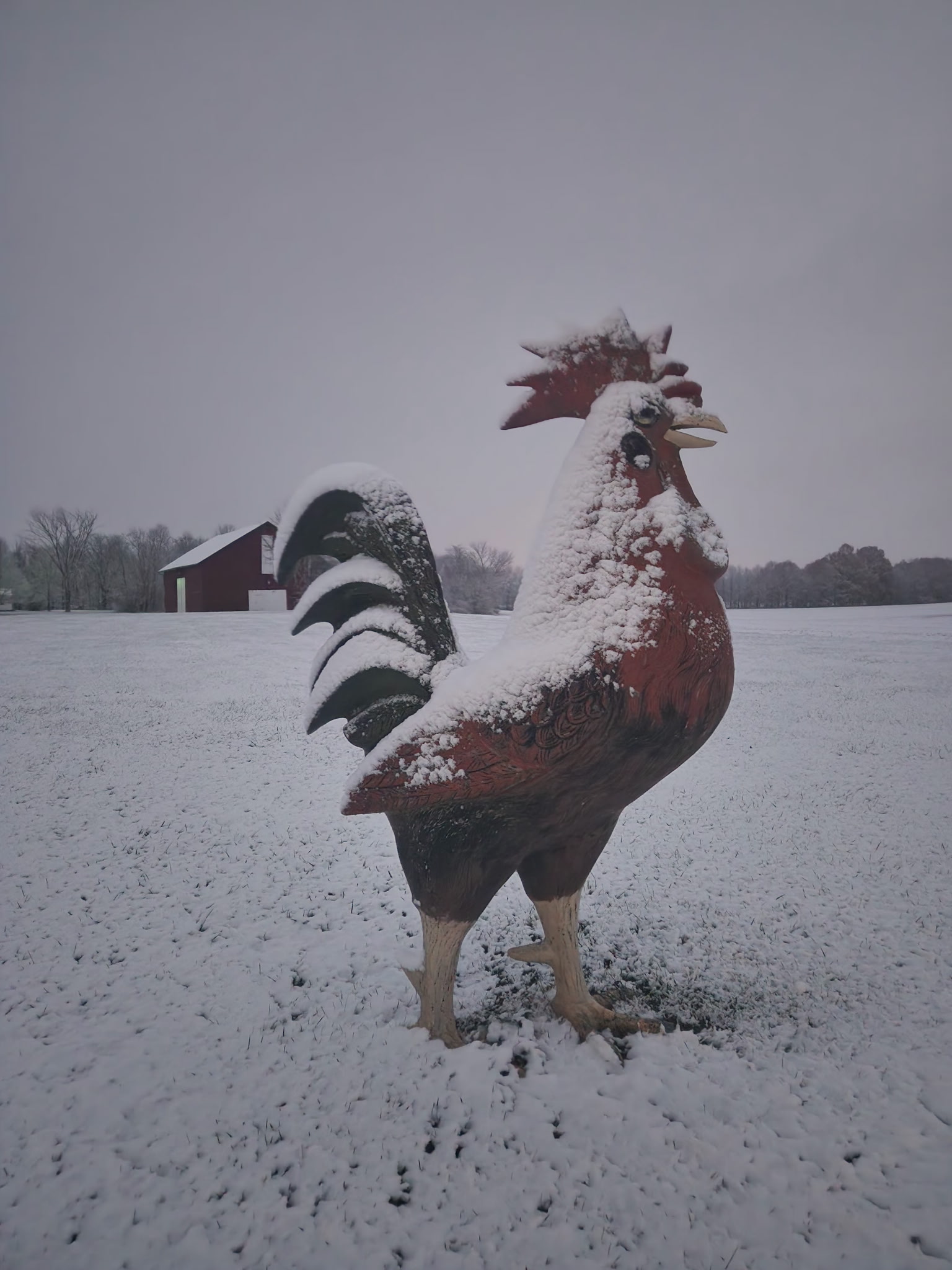 Monthly Meeting Minutes February 13, 2025