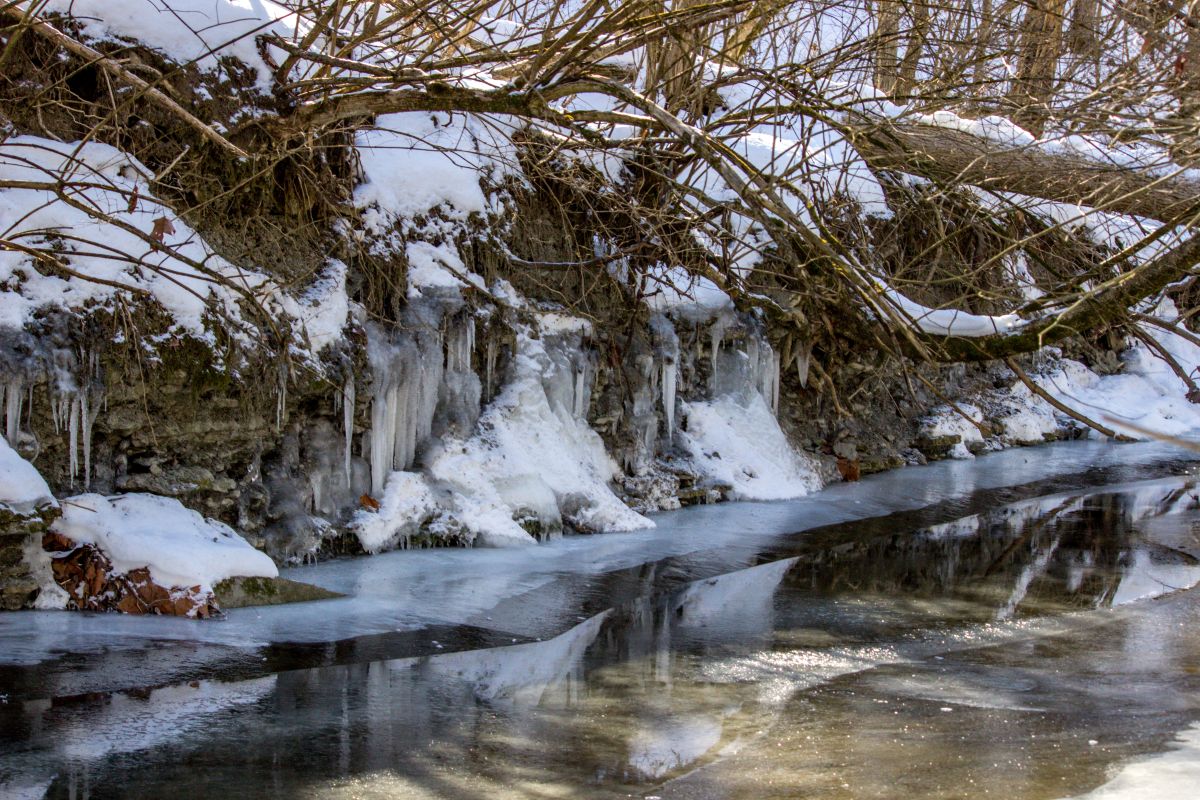 Year-End Meeting Minutes December 30, 2024